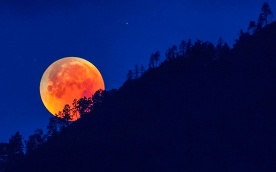 В ночь на 17 июля над Россией пройдет лунное затмение