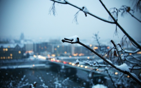 В середине недели в Омской области ожидается снег