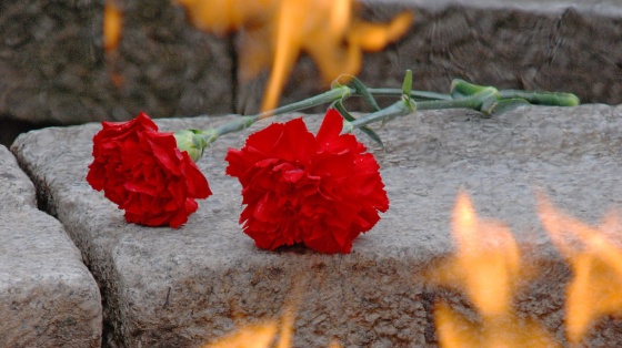 «Война началась на рассвете»: День памяти и скорби