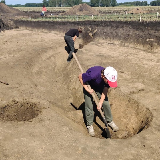 Ученый ОмГПУ: первые итоги археологических раскопок в Горьковском районе