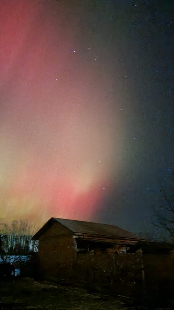 55592b15-a759-4f6b-902e-31a6823def95 (1).jpeg