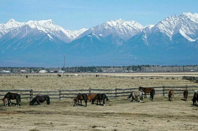 дачи пар3.jpg