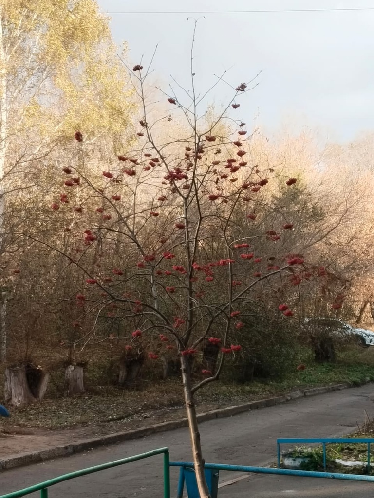 погодка мммм.jpg