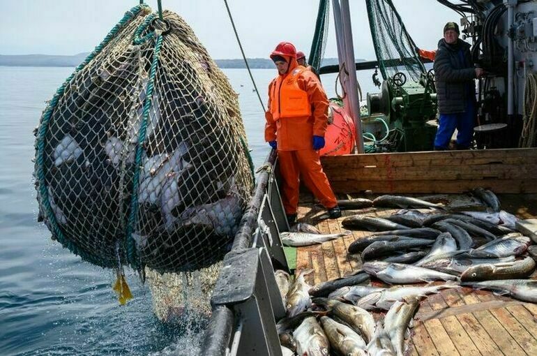 рыба3.jpg рыба3.jpg