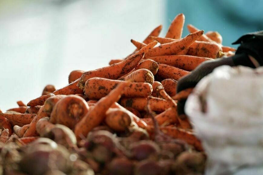 морковь пар.jpg