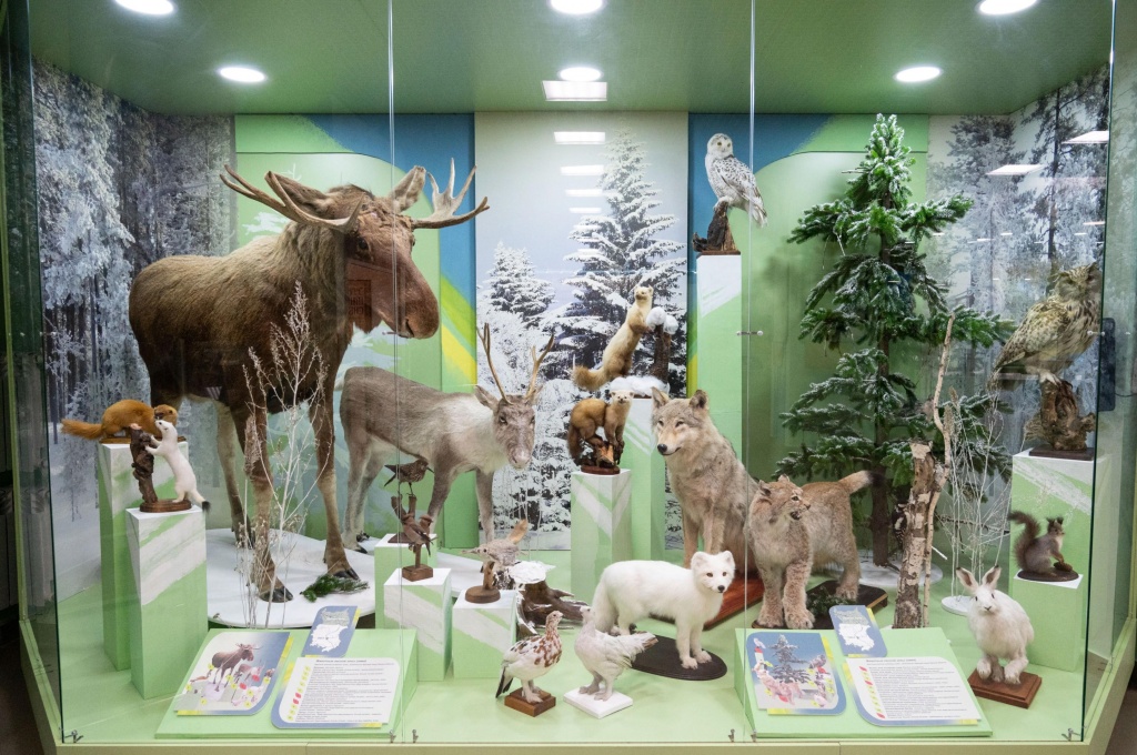 этническая панорама сибири.jpg