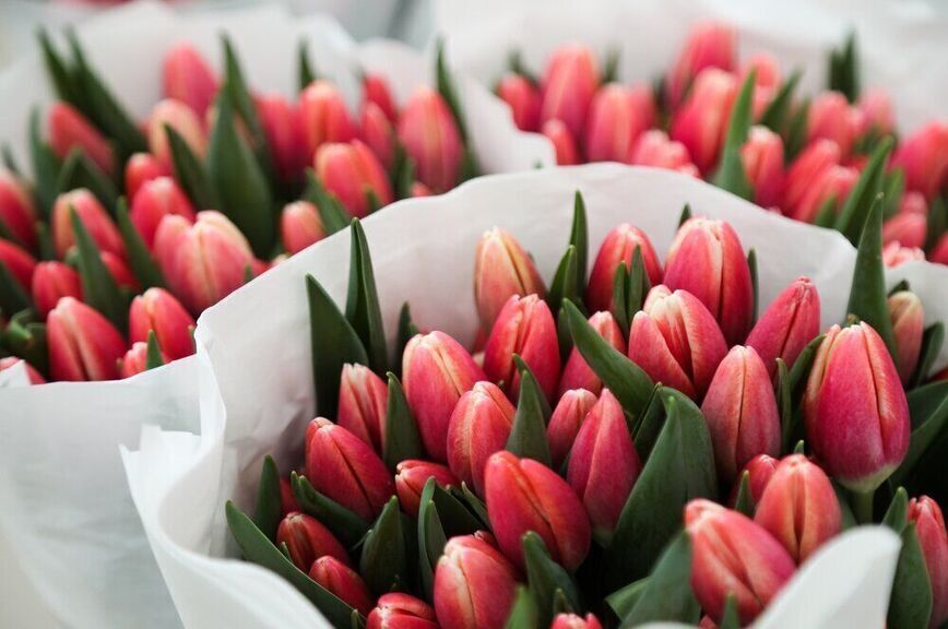 цветы пар 2.jpg