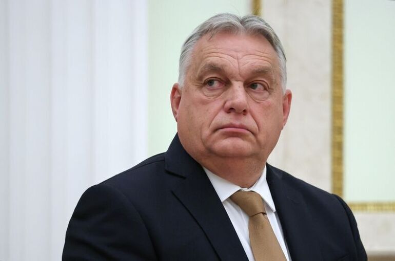 не даб.jpg не даб.jpg