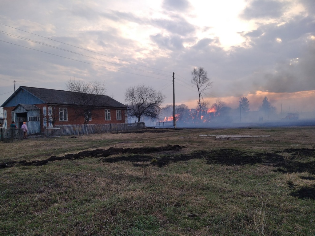 фото в тело 1.jpg