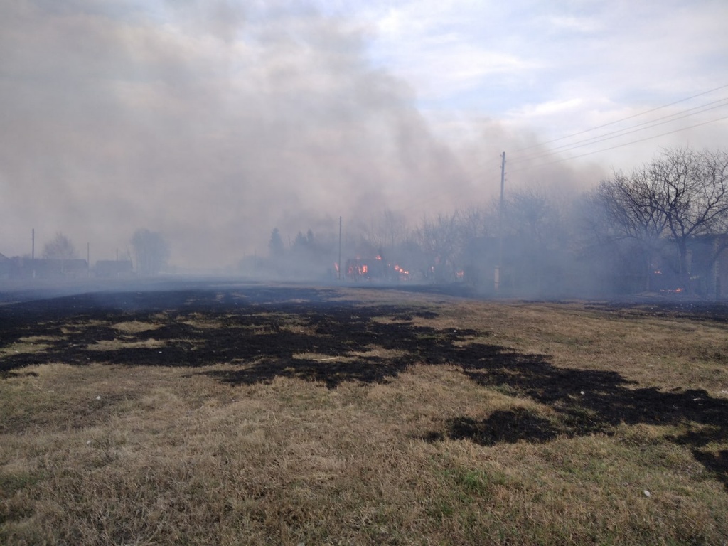 фото в тело 2.jpg