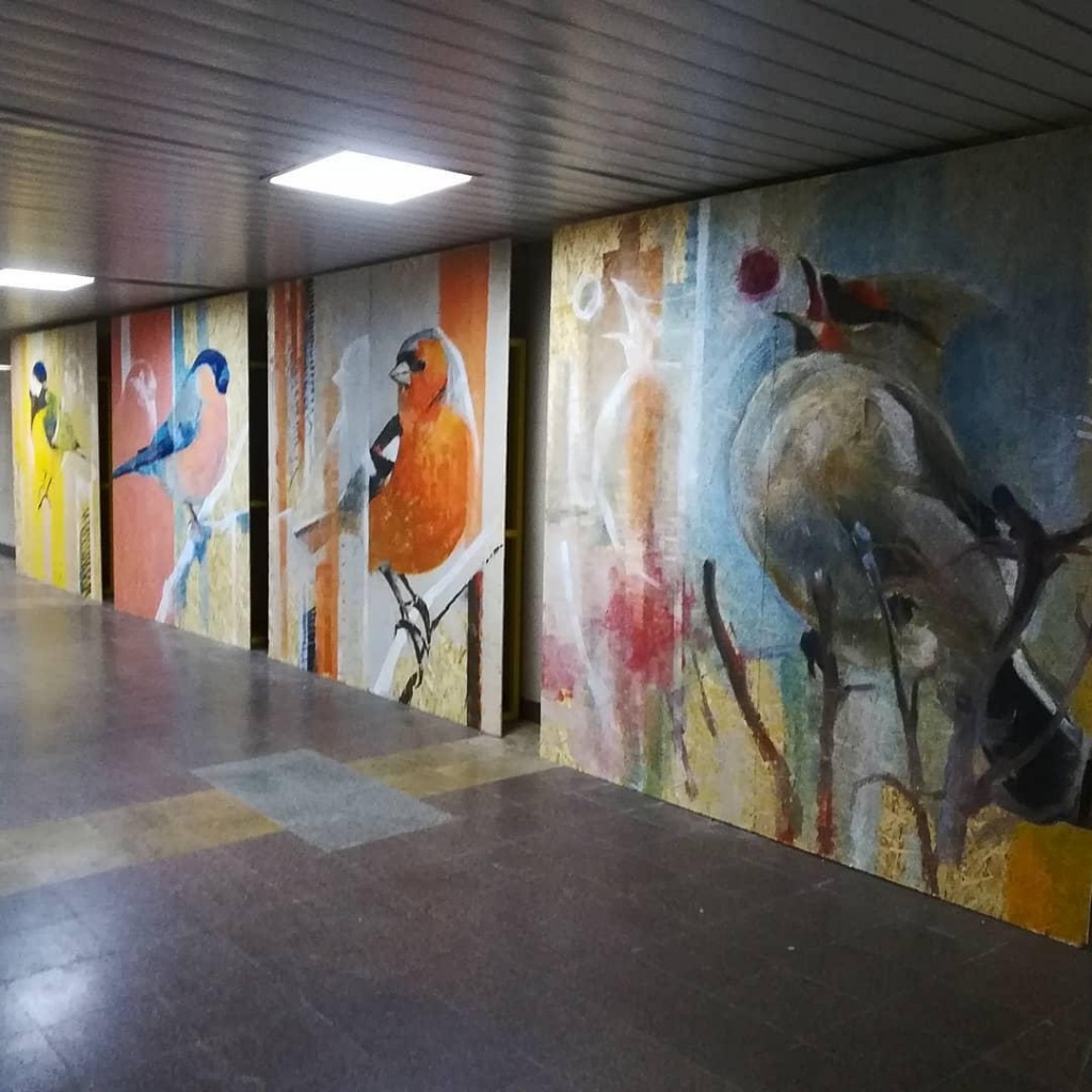 пути миграции.jpg