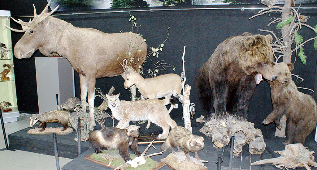 лицом к лицу с природой.jpeg лицом к лицу с природой.jpeg