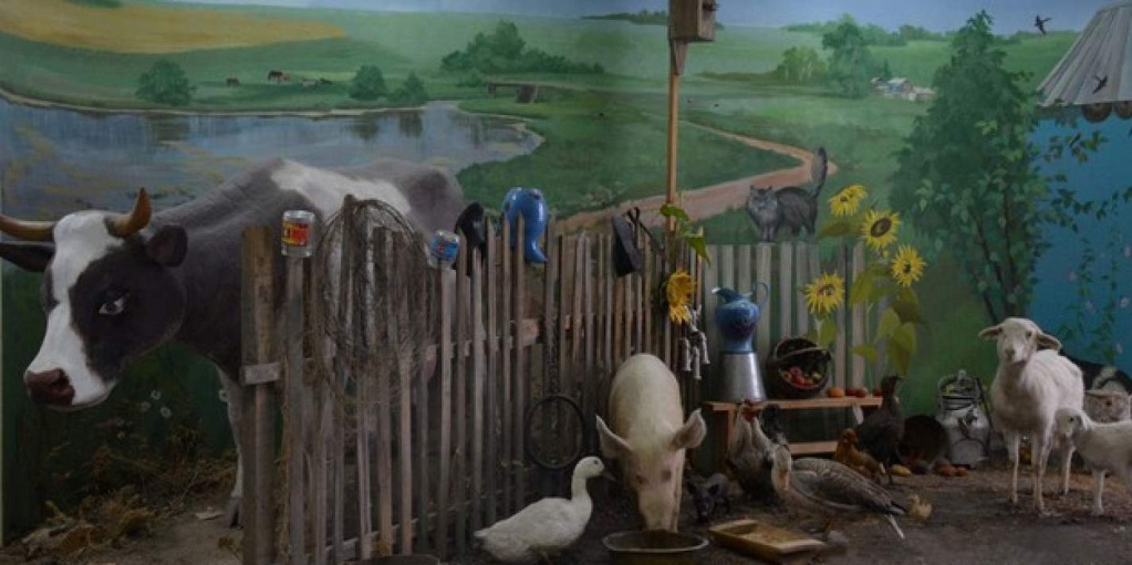 мир природы в мире людей.jpg