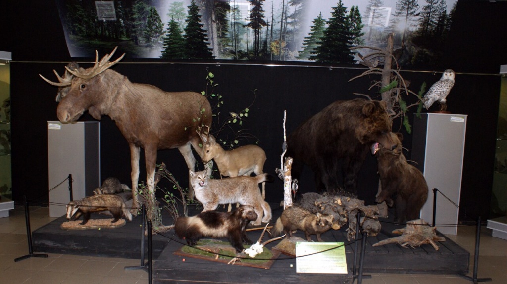 заколдованные часы.jpg