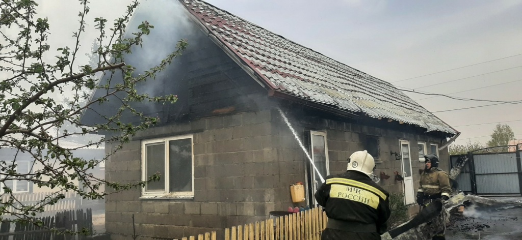 Полтавка (1).jpg