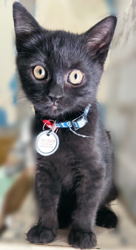 xJVdXme8GWDCUAopMqj1Ncpye-Gxd8KJ3R8PGjB5Pbw3Jdd6OP3yX2wP9Co9dE5S0FzoRgUz3wEhVlK-G1EkmEmJ — копия.jpg