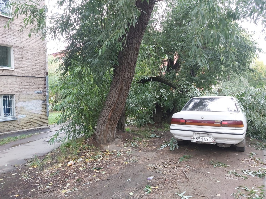 авто 2.jpg