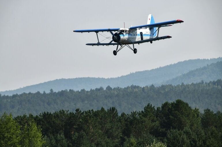 В России летную годность 700 простаивающих самолетов предложили восстановить