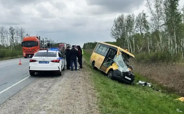 В Омской области микроавтобус попал в смертельное ДТП
