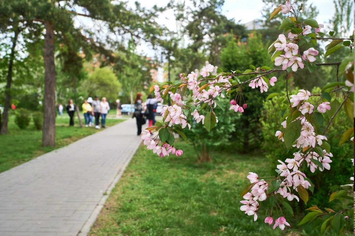 В Омске после майского снегопада потеплеет до +25