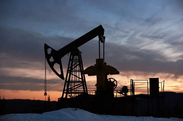 Пасечник: Цена нефти может достичь $100 за баррель осенью
