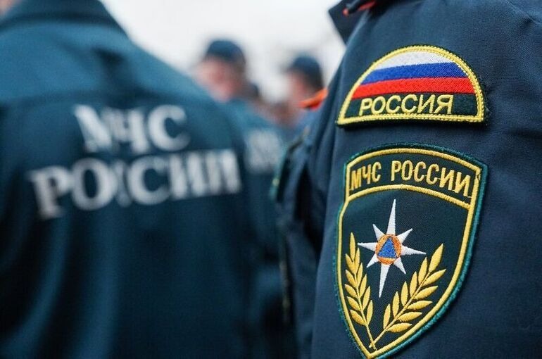 В Омской области за минувшую неделю произошло 39 пожаров