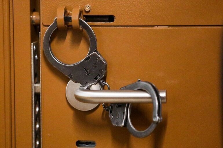 В Омске задержали девушку с почти 0,5 кг наркотиков