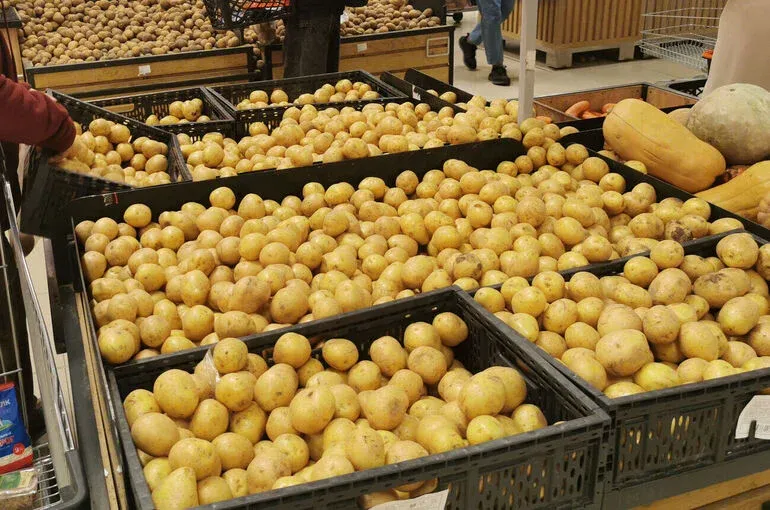В Омской области упали цены на картофель и морковь 