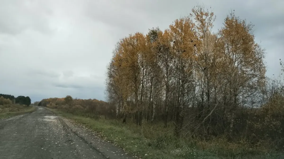 В Омской области ожидается резкая смена погоды
