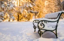 Куда пойти в Омске 20, 21 и 22 ноября.