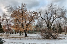 Синоптики рассказали омичам о погоде в ближайшие дни