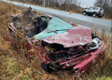 Омский водитель устроил смертельное ДТП, сбив корову