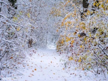 Омск заморозит: синоптики предупредили о резком похолодании