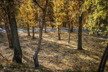 До +9 градусов потеплеет на предстоящей неделе