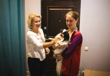 Отель для собаки