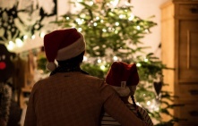 Зарубежные елки к Новому году могут значительно подорожать 