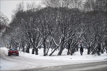 Синоптики рассказали о мощном потеплении в регионе