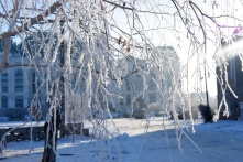В Омской области похолодание задержится еще на неделю