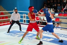 В Омске стартовало первенство региона по боксу