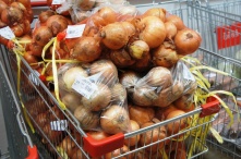 В марте в Омской области подешевел репчатый лук