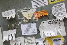 Депутаты рассмотрят законопроект об уголовной ответственности за граффити с рекламой наркотиков