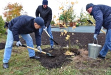 В Омске назвали дату общегородского субботника 