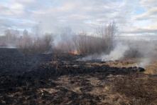 В регионе начались первые пожары из-за пала сухой травы