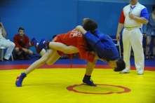 В Омске пройдет турнир по самбо памяти Александра и Никиты Петровых