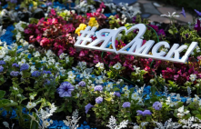 Стала известна тема омской выставки «Флора»