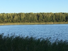 В Омской области за минувшие сутки утонули четыре человека