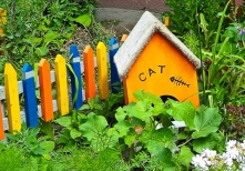 В городе начался конкурс «Омские улицы»