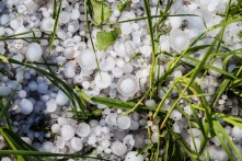 В Омске выпал град аномальных размеров