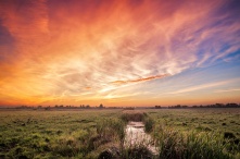 В Омской области из-за жары ввели режим ЧС