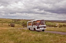 Омску выделили 700 млн на обновление общественного транспорта